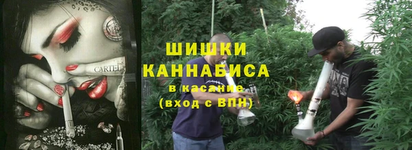 спиды Краснослободск