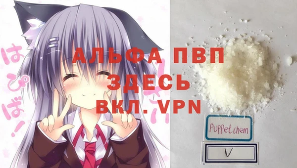 стафф Краснотурьинск