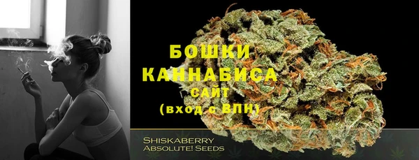 стафф Краснотурьинск