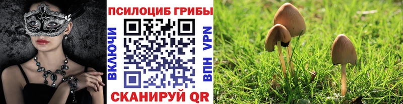Галлюциногенные грибы Magic Shrooms  blacksprut ТОР  Миллерово  закладка 